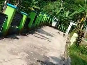Heboh Kawanan Monyet Liar Teror Warga Dua Dusun di Ciamis