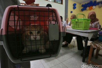 Vaksinasi Rabies Gratis di Menteng, Dukung Target Indonesia Bebas Rabies 2030