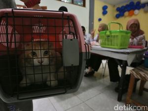 Vaksinasi Rabies Gratis di Menteng, Dukung Target Indonesia Bebas Rabies 2030