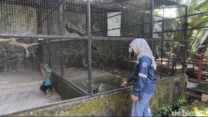 Senangnya Warga Bisa Healing di Mini Zoo SPBU Harjosari Semarang