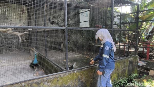 Senangnya Warga Bisa Healing di Mini Zoo SPBU Harjosari Semarang