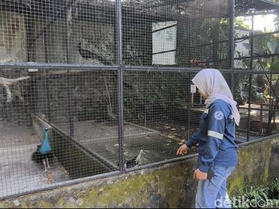 Senangnya Warga Bisa Healing di Mini Zoo SPBU Harjosari Semarang