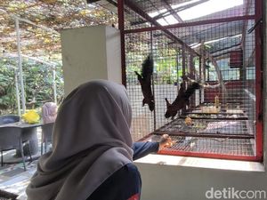 Kebun Binatang Mini di SPBU Bawen Berawal dari Hobi Pemilik