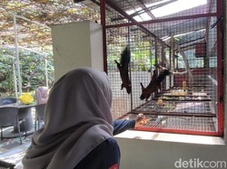 Kebun Binatang Mini di SPBU Bawen Berawal dari Hobi Pemilik