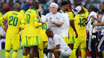 Pelatih Afrika Selatan Ungkap Kunci Taklukkan Korea Selatan
