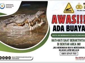 Viral Buaya di Kumai, Hati-hati Saat di Sungai!