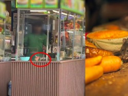 Tikus Muncul di Etalase Makanan, Restoran Ini Langsung Ditutup Sementara