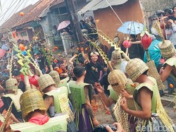 1,5 Ton Tomat Busuk Hujani Lembang, Simbol Buang Sifat Buruk