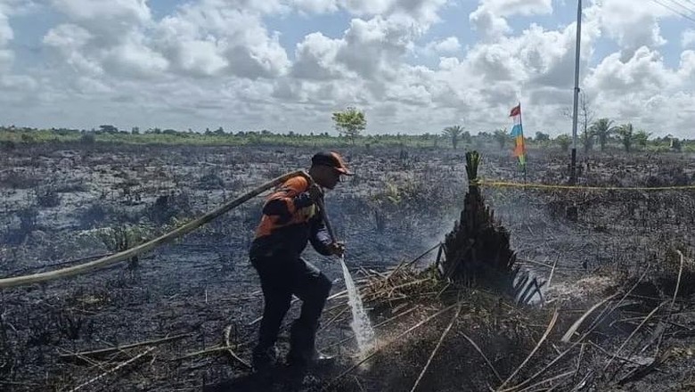 323 Kejadian Karhutla di Kalteng, BPBD Gencarkan Hujan Buatan
