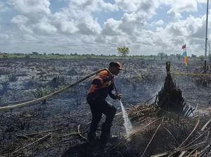 Karhutla di Lahan Calon Perumahan Kotim. Satu Hektare Gambut Menyala