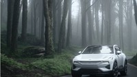 Terafiliasi dengan China, Merek Mobil Eropa Ini 'Dipaksa' Hengkang dari AS