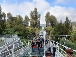 Pre-launching Jembatan Kaca Bromo, Segini Harga Tiketnya