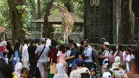 Hari Terakhir Masuk Gratis, Ragunan Diserbu Pengunjung