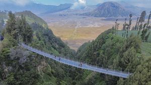 Jembatan Kaca Seruni Point Bromo Resmi Dibuka