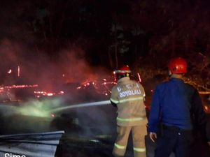 Kandang Bebek Milik Heri di Simo Boyolali Terbakar, Ribuan Ludes
