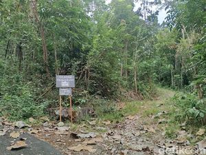 Menyusuri Kampung Mati di Prambanan Sleman Imbas Gempa 2006 Kini Jadi Hutan
