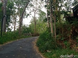 Cerita di Balik Kampung Mati di Prambanan Sleman Ditinggalkan Usai Gempa 2006