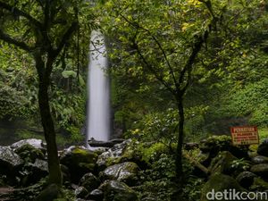 Curug Sawer, Destinasi Healing Air Terjun 35 Meter di Kaki Gunung Gede Pangrango