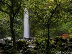 Curug Sawer, Destinasi Healing Air Terjun 35 Meter di Kaki Gunung Gede Pangrango