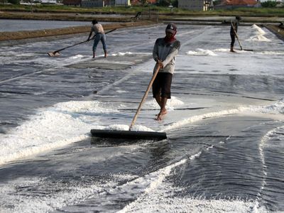 Produktivitas Tambak Garam Pasuruan Terus Digenjot