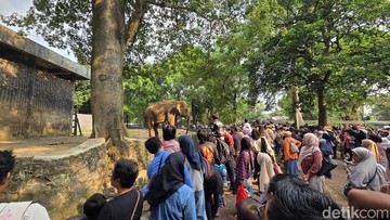 135 Ribu Orang Serbu Ragunan di Hari Terakhir Masuk Gratis, Naik 2 Kali Lipat