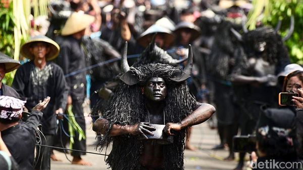 Tradisi Kebo-keboan di Banyuwangi