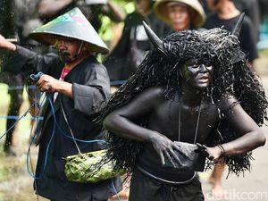 Kebo-keboan Alasmalang, Tradisi Syukur Panen dan Tolak Bala