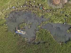 Aksi Bersih Eceng Gondok Jaga Kelestarian Sungai Citarum