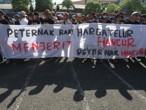Peternak Ayam Petelur Desak Pemerintah Stabilkan Harga Telur