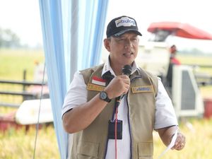 BULOG Tegaskan Tetap Serap Gabah Hasil Panen Petani Secara Berkelanjutan