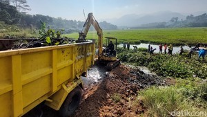Penampakan Hamparan Pulau Eceng Gondok di Sungai Citarum