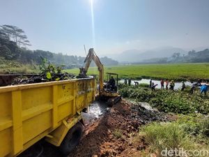 Penampakan Hamparan Pulau Eceng Gondok di Sungai Citarum