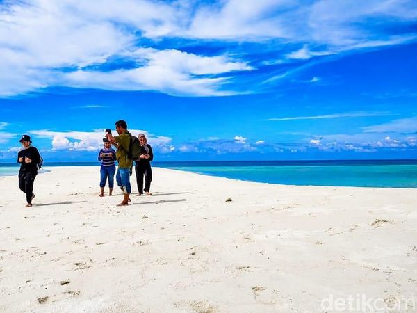 Pesona Gosong Senggora di Pantai Bogam Raya yang Langka Terjadi