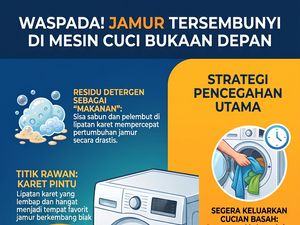 Infografis: Jamur Bisa Muncul di Mesin Cuci, Ini Biang Keroknya