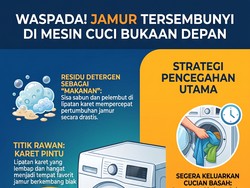 Infografis: Jamur Bisa Muncul di Mesin Cuci, Ini Biang Keroknya