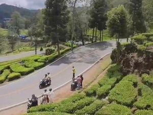 Viral Jukir Liar Sasar Wisatawan di Ciwidey, Polisi: Jangan Kasih Uang!