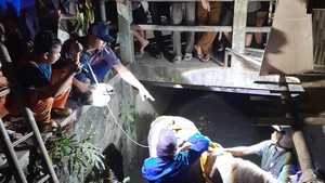 Detik-detik Kuda Andong Nyemplung Selokan di Umbulharjo Jogja Saat Jalan Pulang