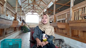 Lulusan Peternakan Jadi Apa? Mila Dirikan Usaha Beromzet Rp 50 Juta per Bulan