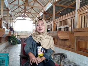 Lulusan Peternakan Jadi Apa? Mila Dirikan Usaha Beromzet Rp 50 Juta per Bulan
