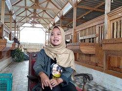 Lulusan Peternakan Jadi Apa? Mila Dirikan Usaha Beromzet Rp 50 Juta per Bulan
