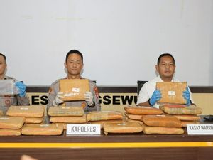 Kurir 24 Kg Ganja dari Sumut Ditangkap di Lampung, Polisi Buru Pemasoknya