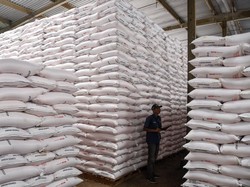 Kuota Pupuk Subsidi Ditambah Dua Kali Lipat Jadi 9,5 Juta Ton