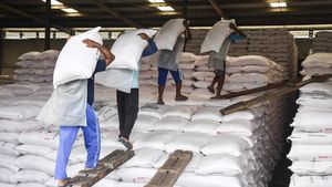 Distribusi Pupuk Bersubsidi Digenjot untuk Dukung Produksi Beras