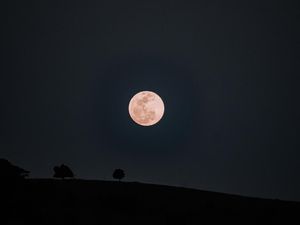 Malam Ini 30 Juni 2026 Ada Strawberry Moon, Cek Asal Nama dan Mitosnya Yuk!