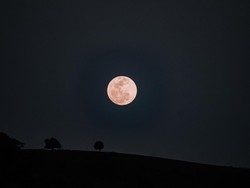 Malam Ini 30 Juni 2026 Ada Strawberry Moon, Cek Asal Nama dan Mitosnya Yuk!
