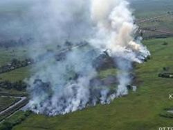 Belasan Hektare Lahan di Banyuasin-Ogan Ilir Terbakar, Sudah Padam