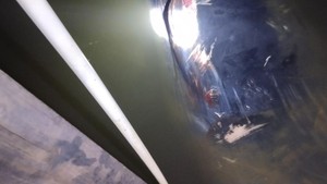 Heboh Paus 12 Meter Terdampar dan Hantam Rumah Warga di Banyuasin