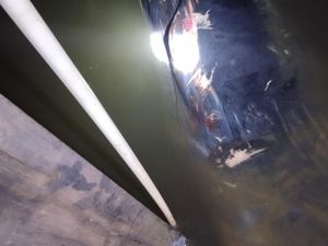 Heboh Paus 12 Meter Terdampar dan Hantam Rumah Warga di Banyuasin