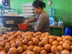Program Makan Bergizi Gratis Libur, Harga Pangan di Pasar Langsung Turun