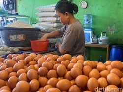 Program Makan Bergizi Gratis Libur, Harga Pangan di Pasar Langsung Turun